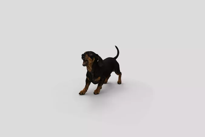  Realistic Dachshund Barking Dog 3D Model