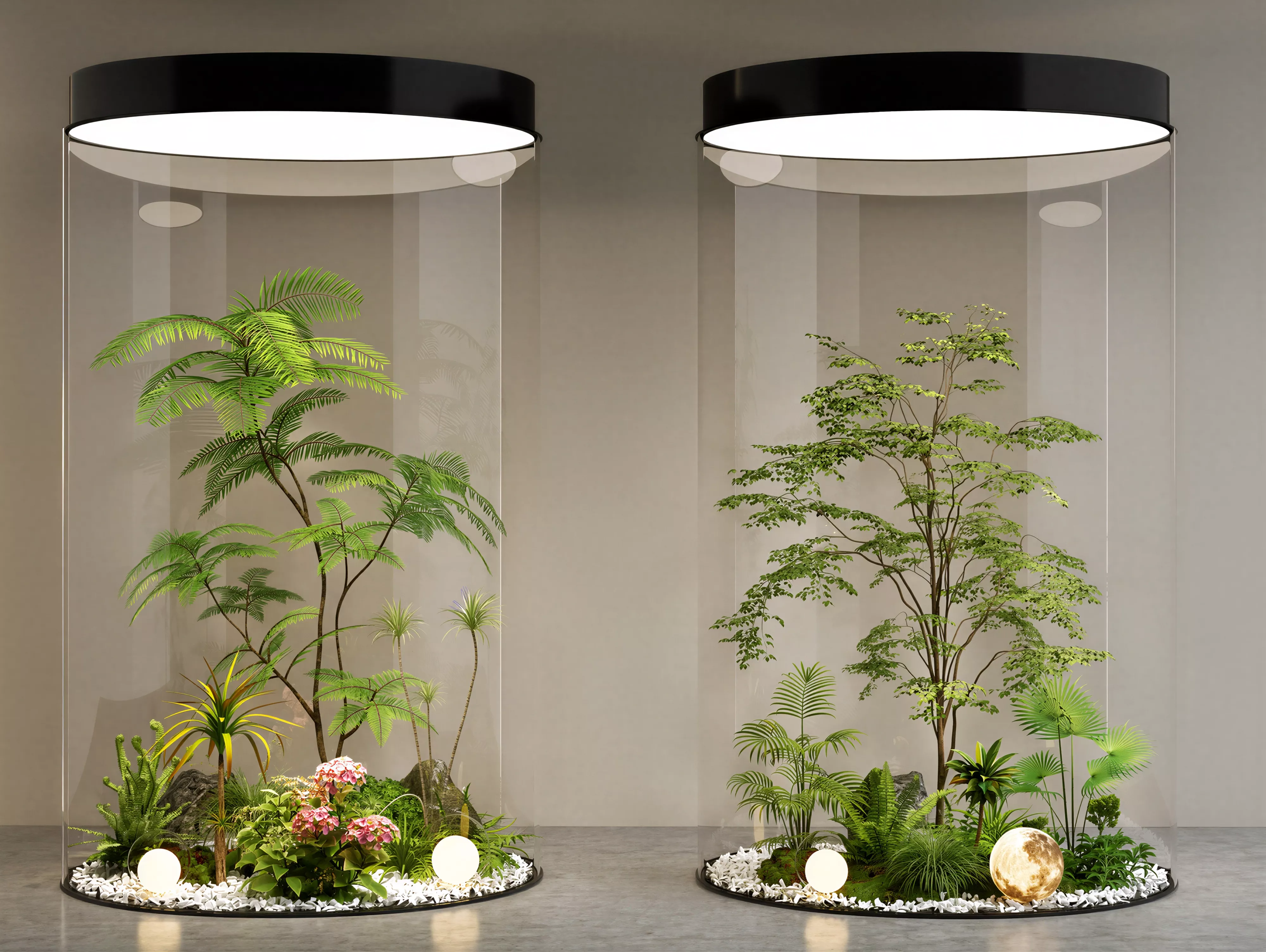 Modern Glass Cylinder Terrarium Indoor Landscape 3D Model 3D model