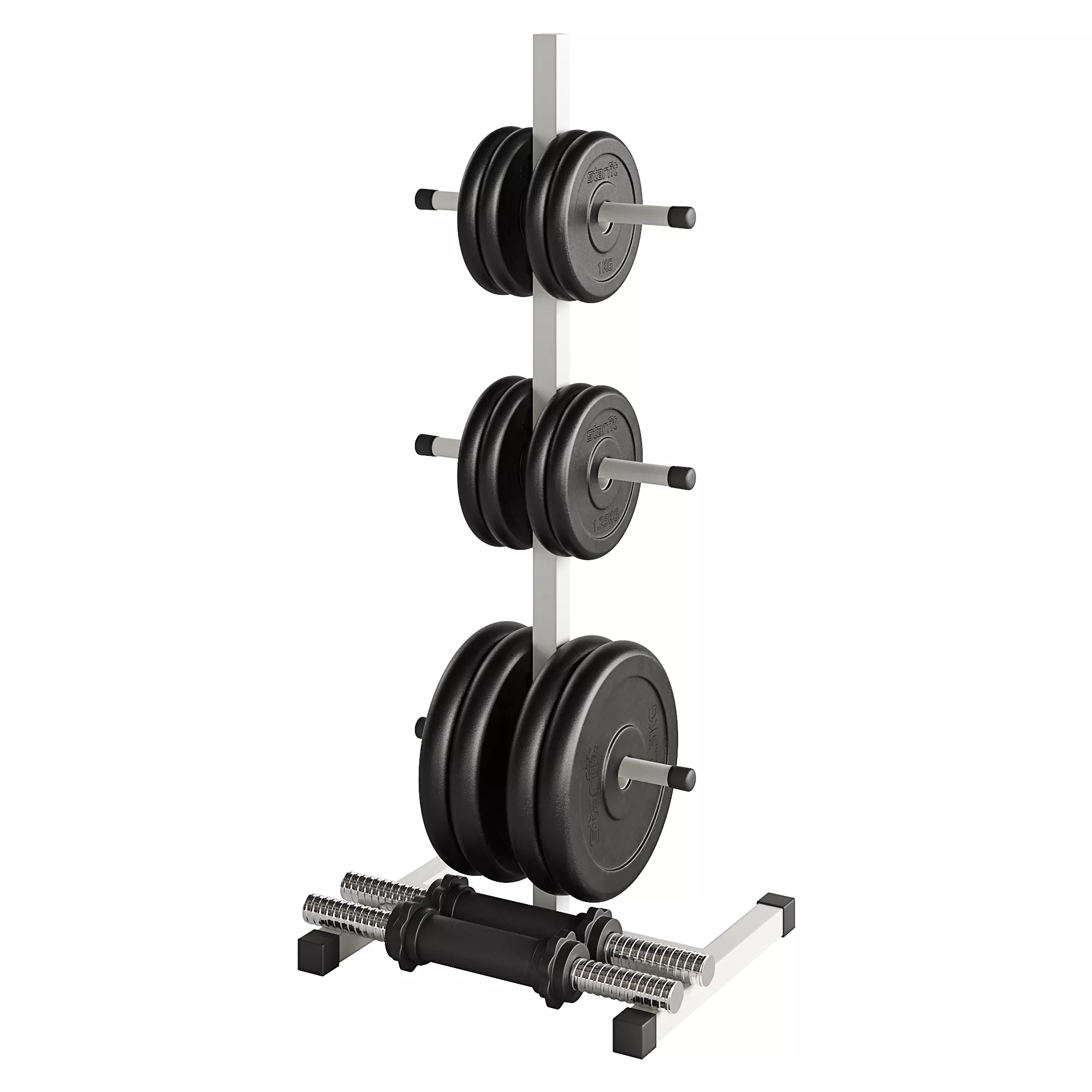 Vertical Weight Plate and Dumbbell Rack 3D model