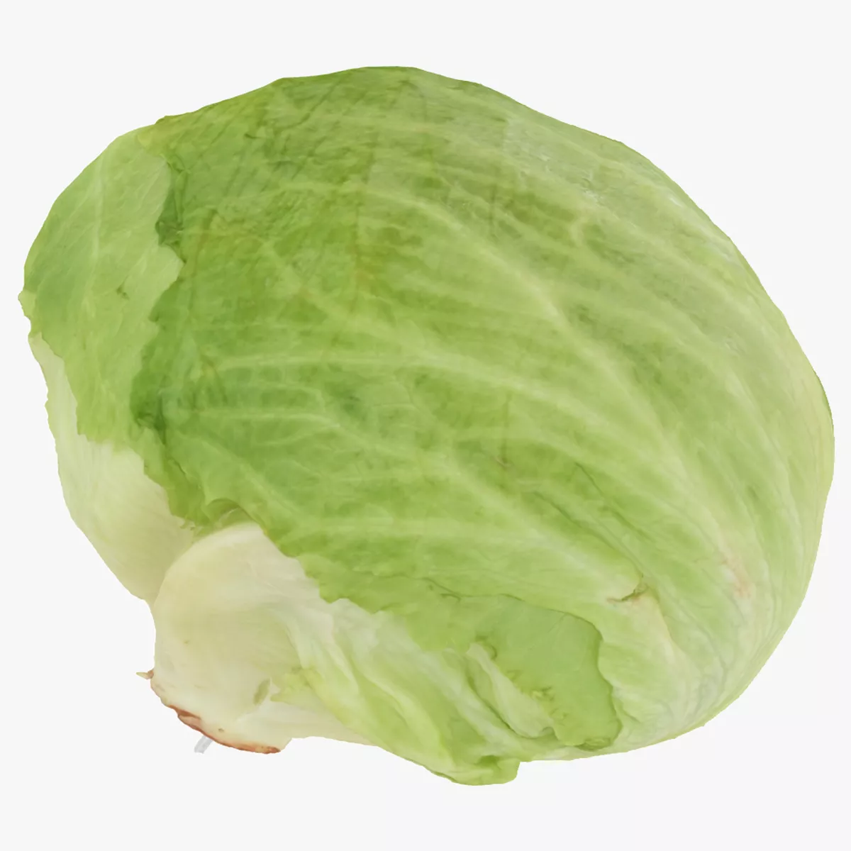 Lettuce 01 RAW Scan 3D model