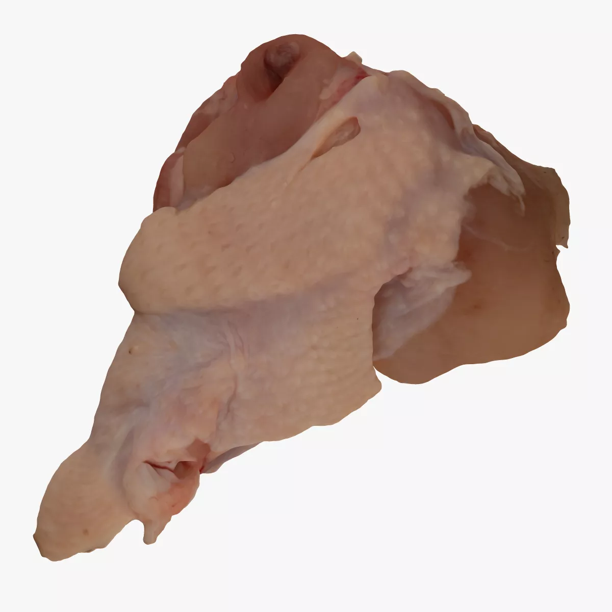 Chicken Wing Drummette 01 RAW Scan 3D model