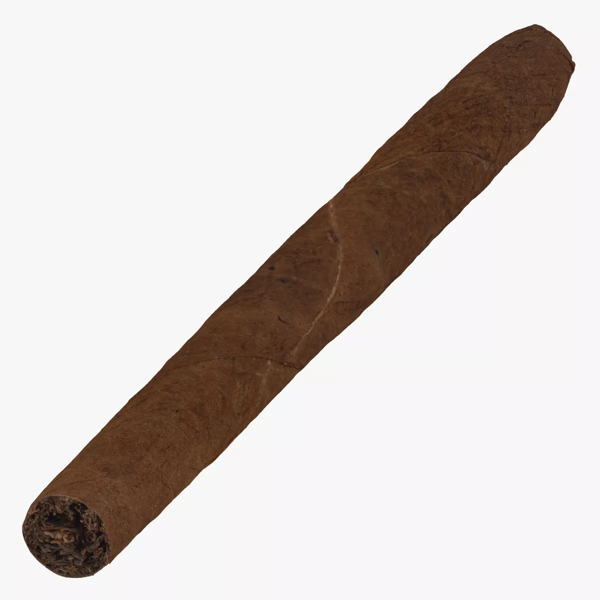 Cigar Long 01 RAW Scan 3D model