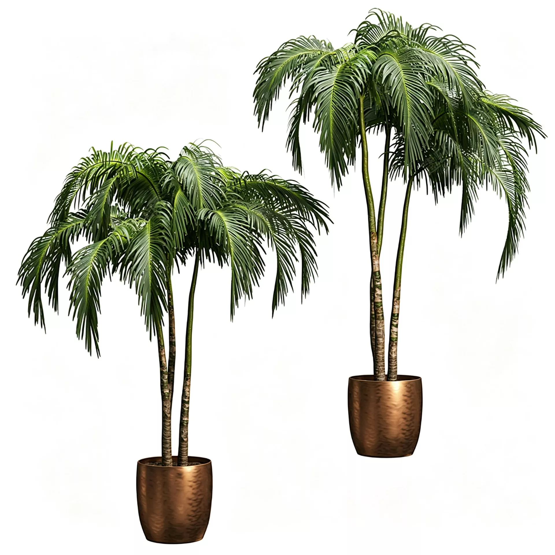 Palm Plants in Copper Pots Set of 2 3D model