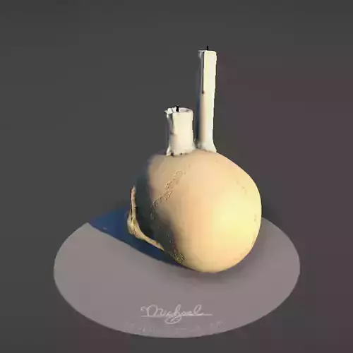 Skull Candle Low-poly 3D model