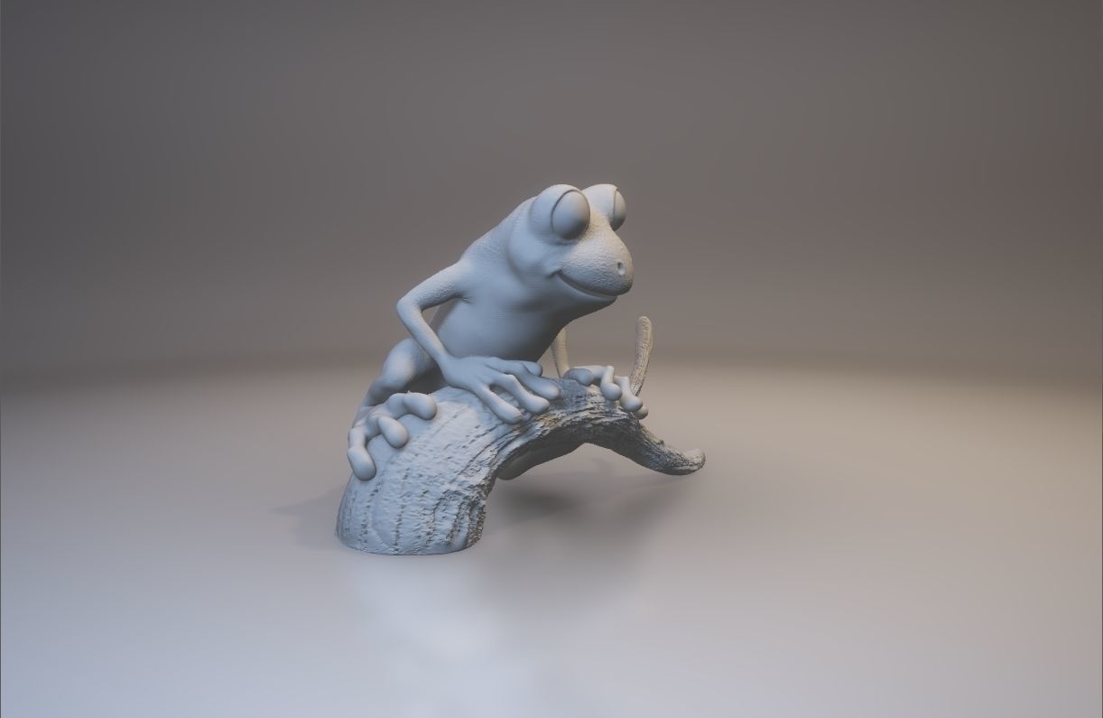 Tree frog 3D print model_3