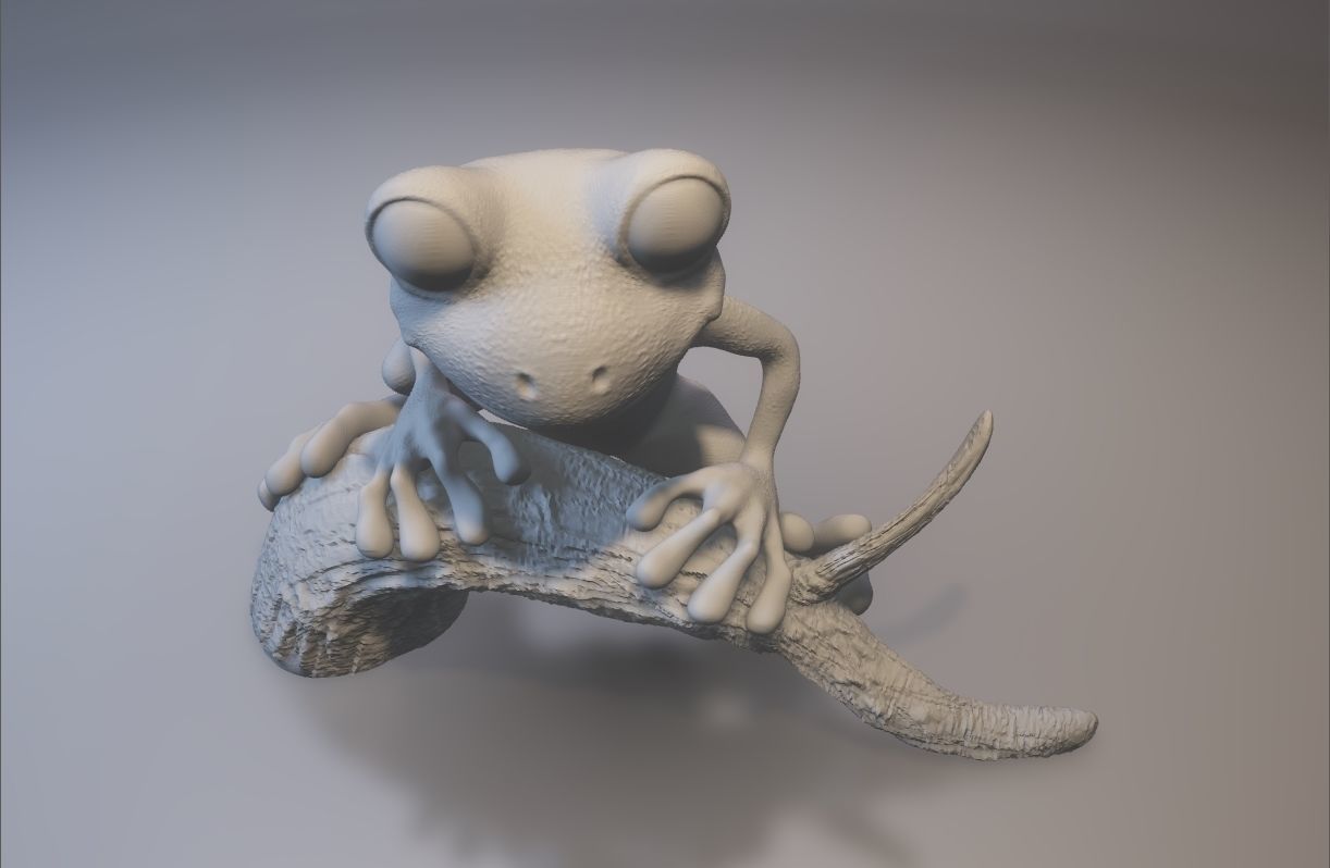 Tree frog 3D print model_6