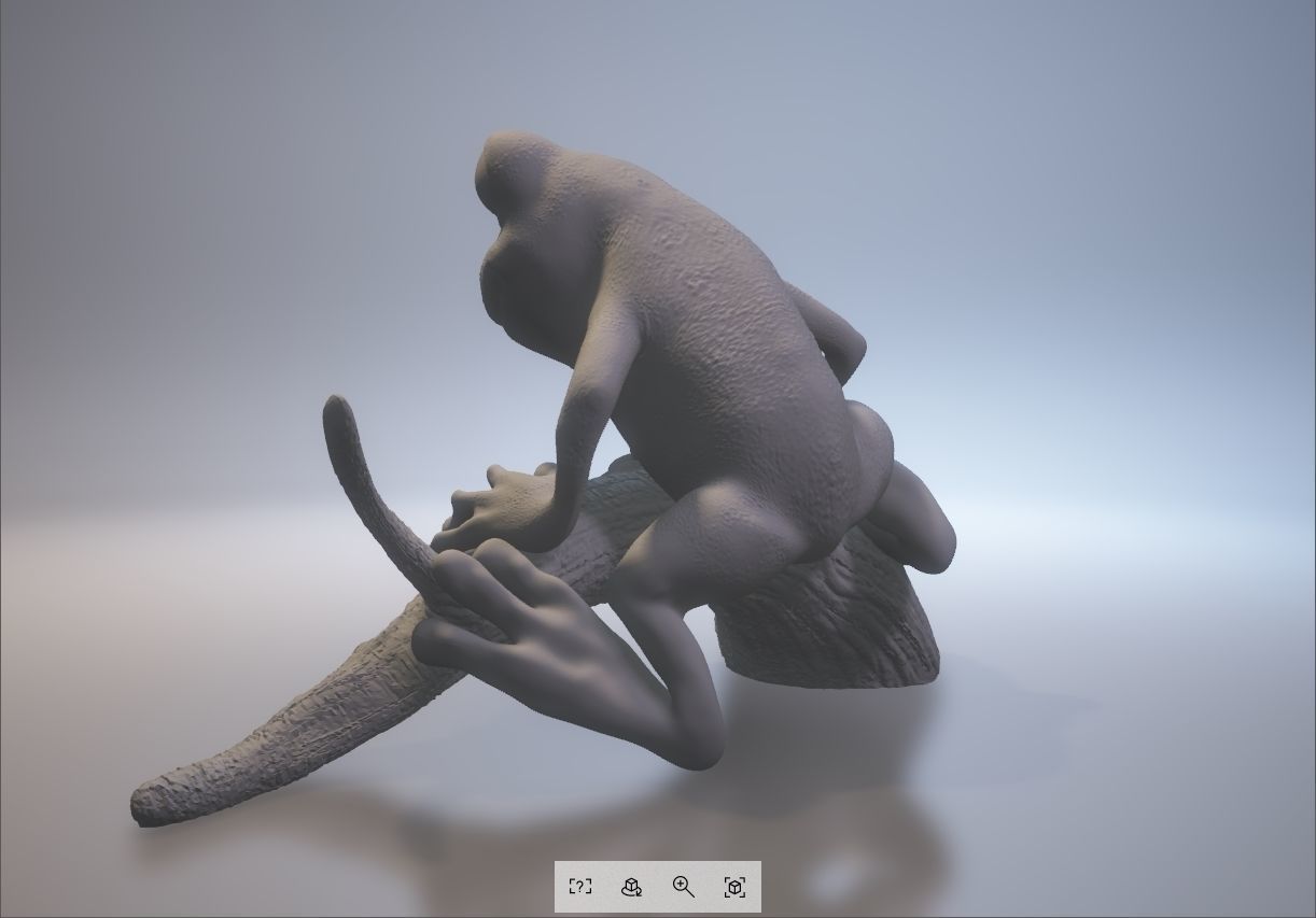 Tree frog 3D print model_1
