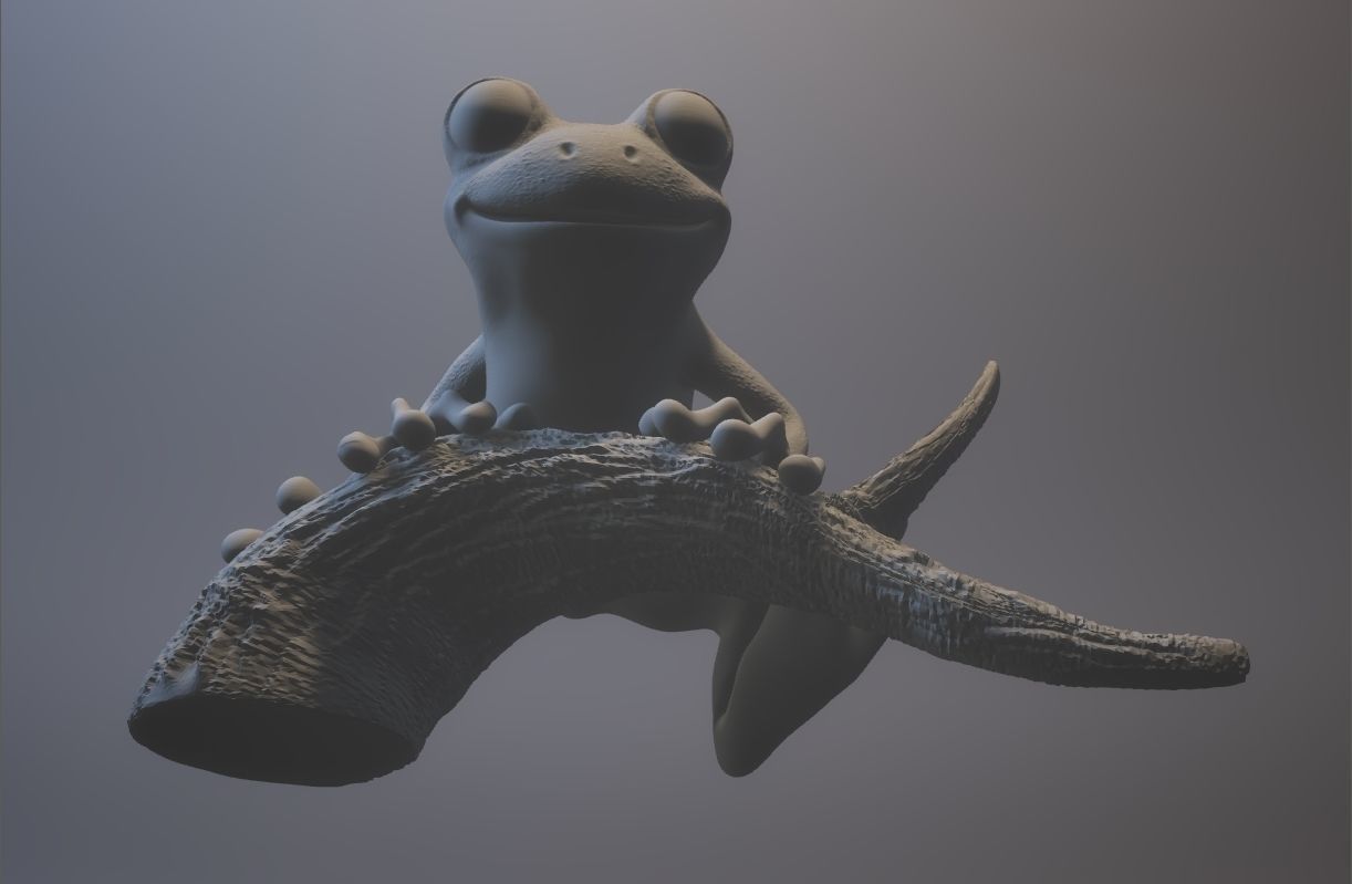 Tree frog 3D print model_5