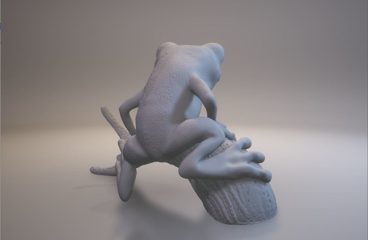 Tree frog 3D print model_4