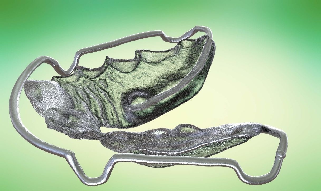 Digital Kois Deprogrammer Appliance 3D print model_10