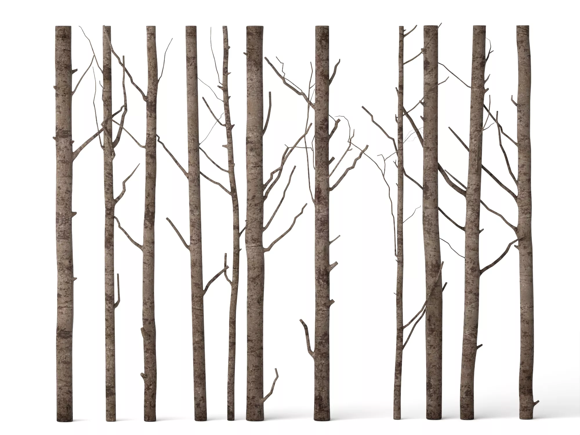 Bare Tree Trunks Collection Low-poly 3D model