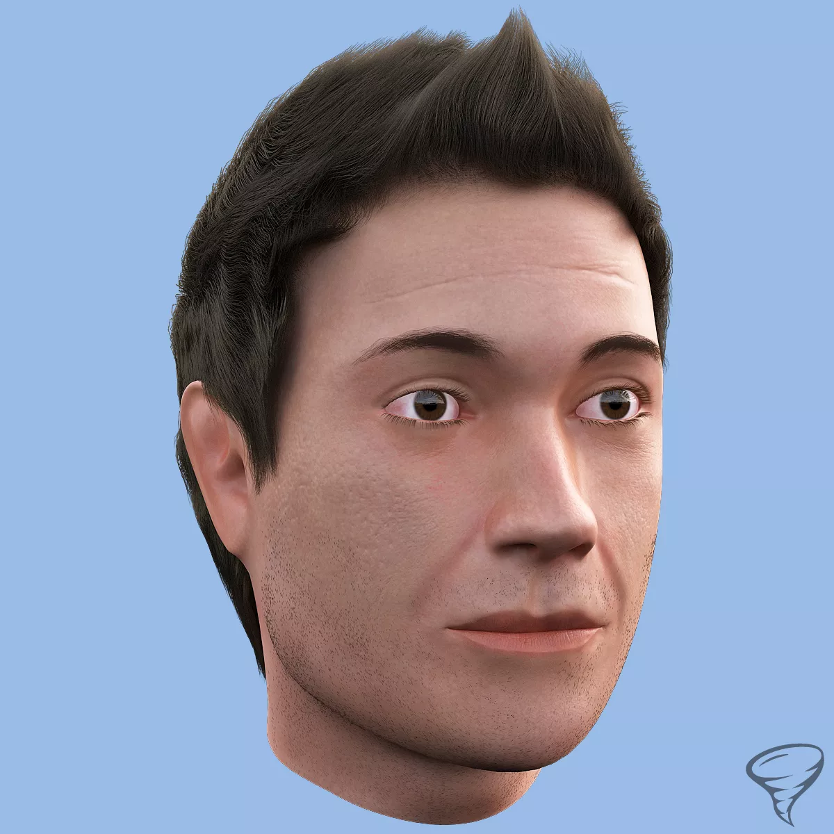 Male Head 3D model