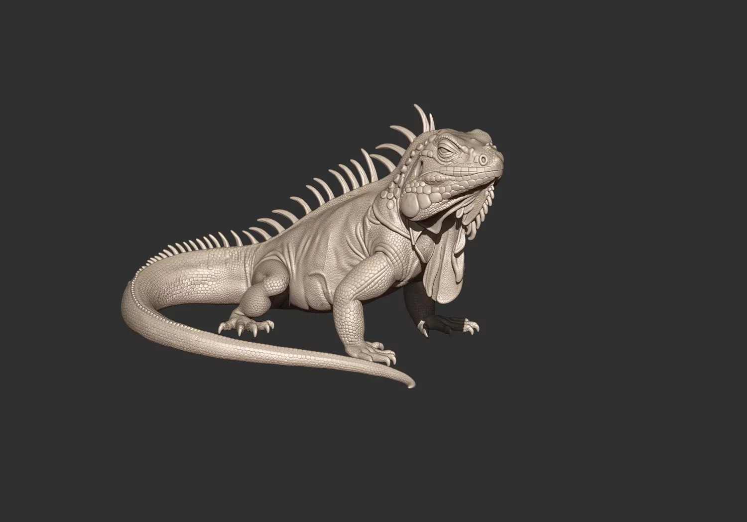 Iguana Lizard sculpture stl 3d printable model 3D print model
