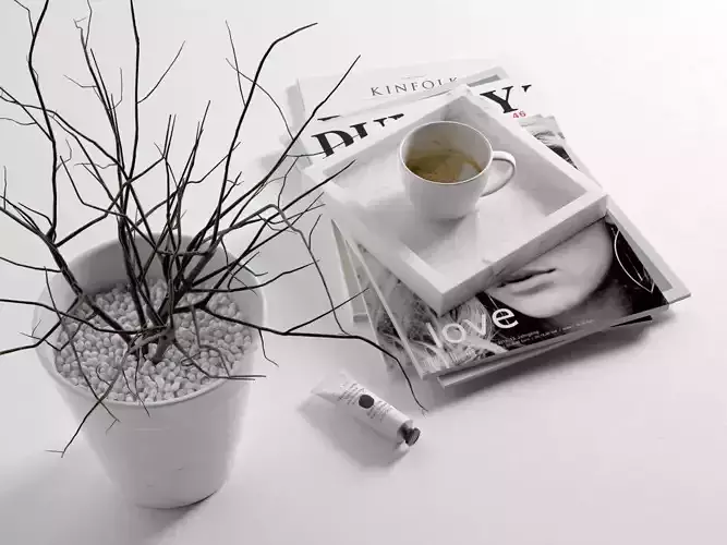 Morning Composition with Magazines Coffee and Vase plant 3D model
