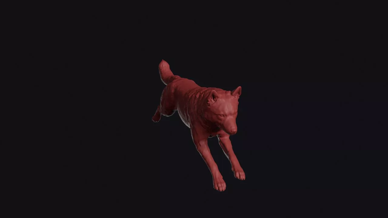 Leaping Finnish Spitz 3D print model