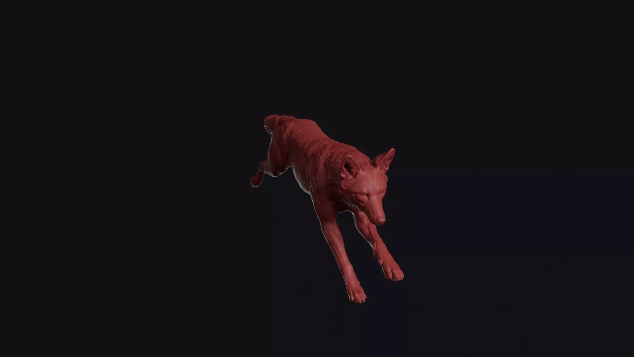 Leaping Ethiopian Wolf 3D print model