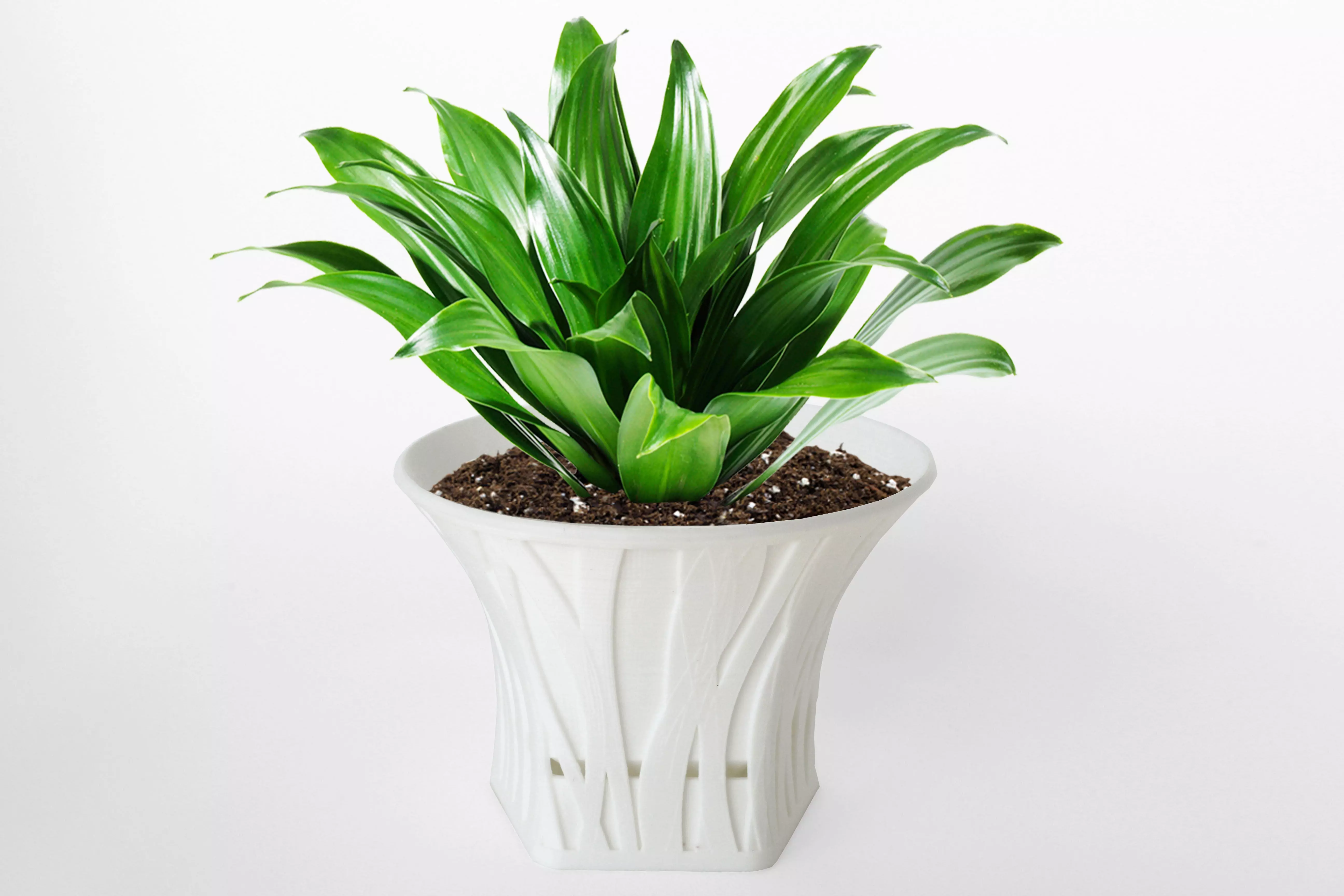 003d - Planter - Morph - Forest Pattern -  3D print model_0