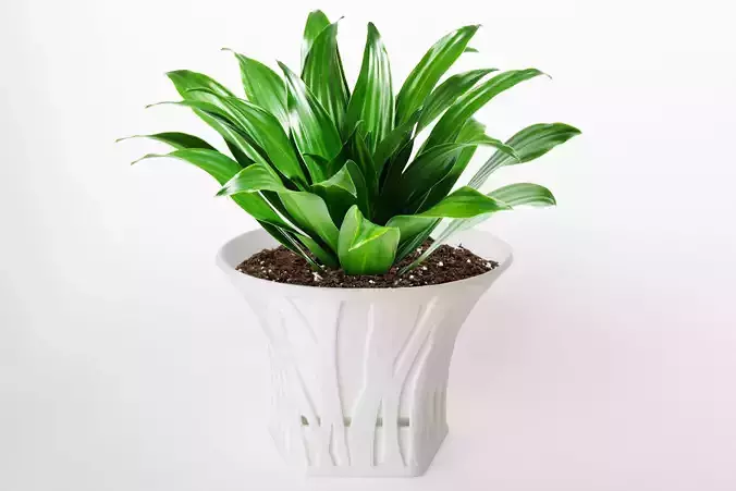 003d - Planter - Morph - Forest Pattern - 