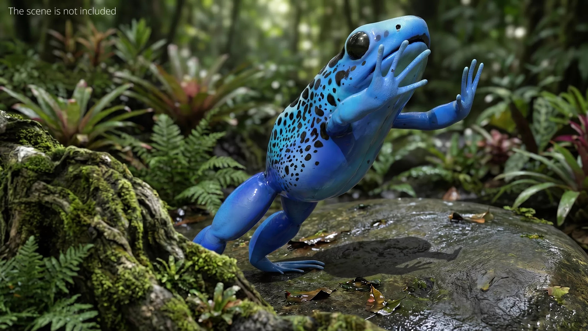 Blue Poison Dart Frog Set Animated Rigged For Maya 3D model