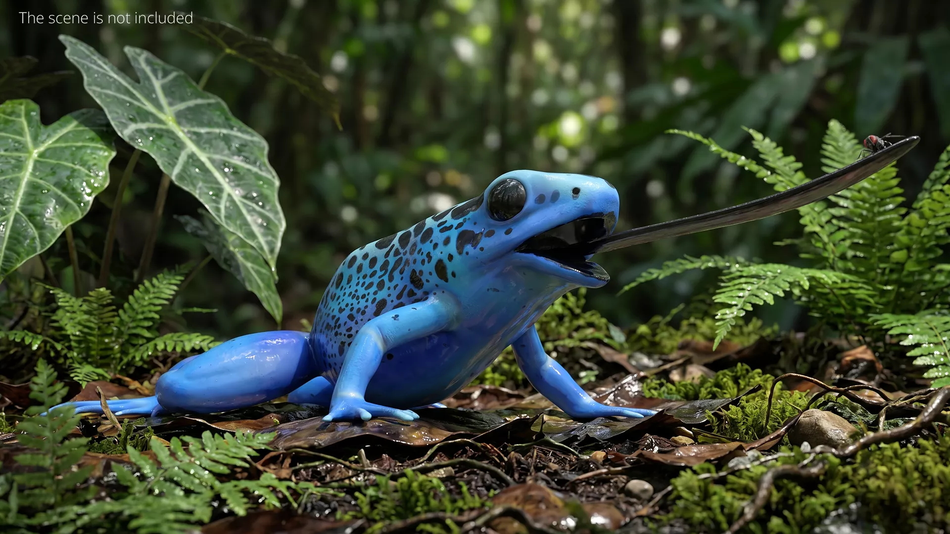 Blue Poison Dart Frog Eating Fly Animated Rigged For Maya 3D model