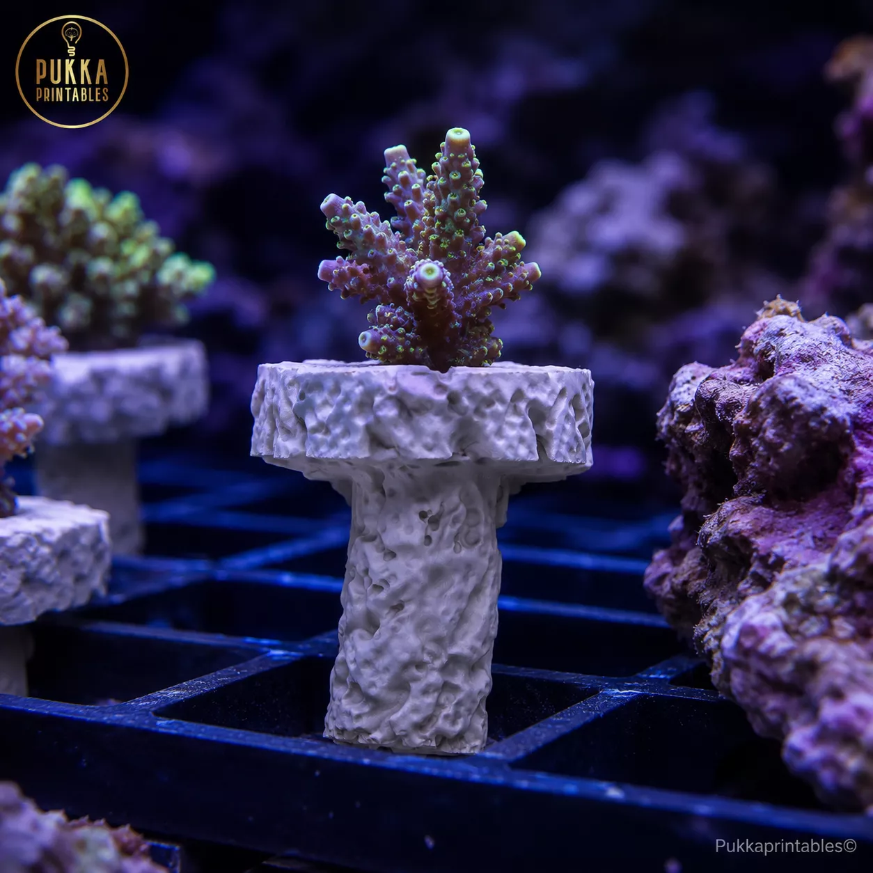 Rock Textured Coral Frag Plug STL - 3D Printable Reef Accessory 3D print model