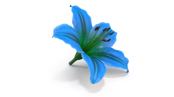 Realistic Lily 3D Model High-Quality 4K PBR Asset