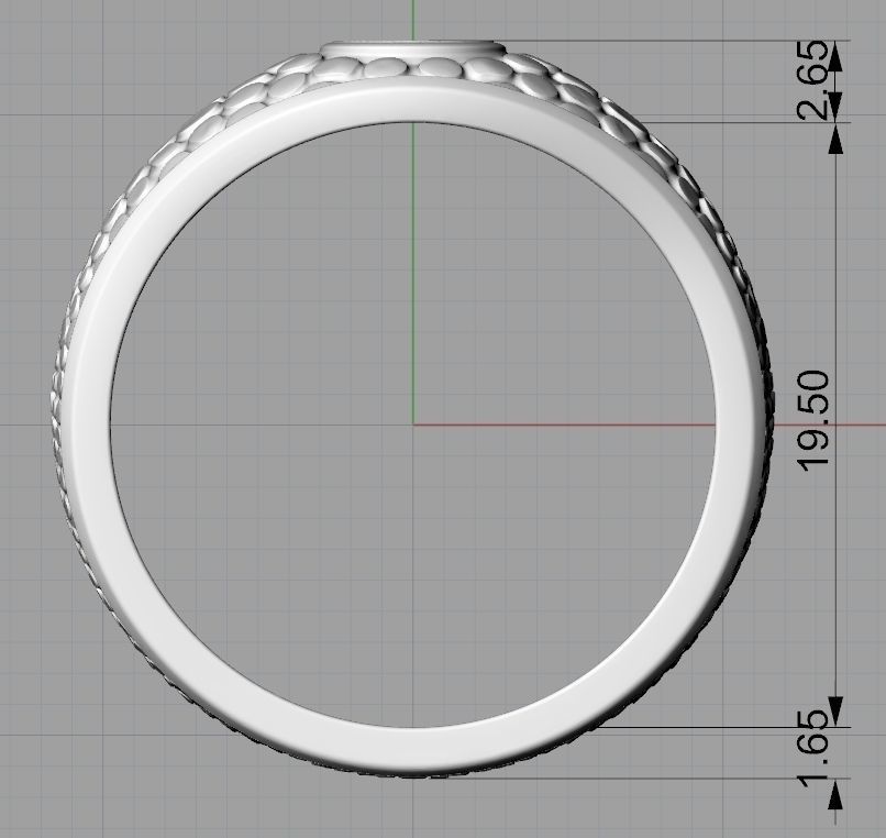 Ring Snake eye 3D print model_3