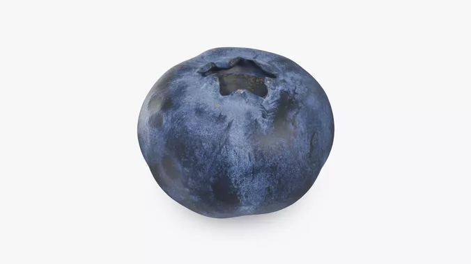 Blueberry 01