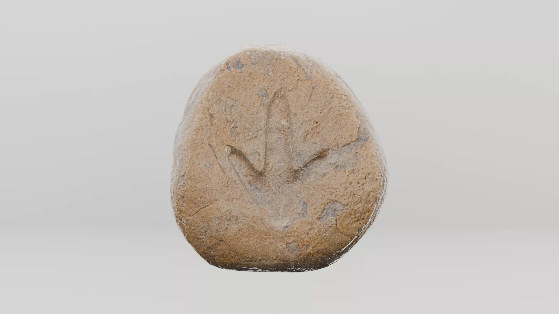 Petrified Imprint Low-poly 3D model