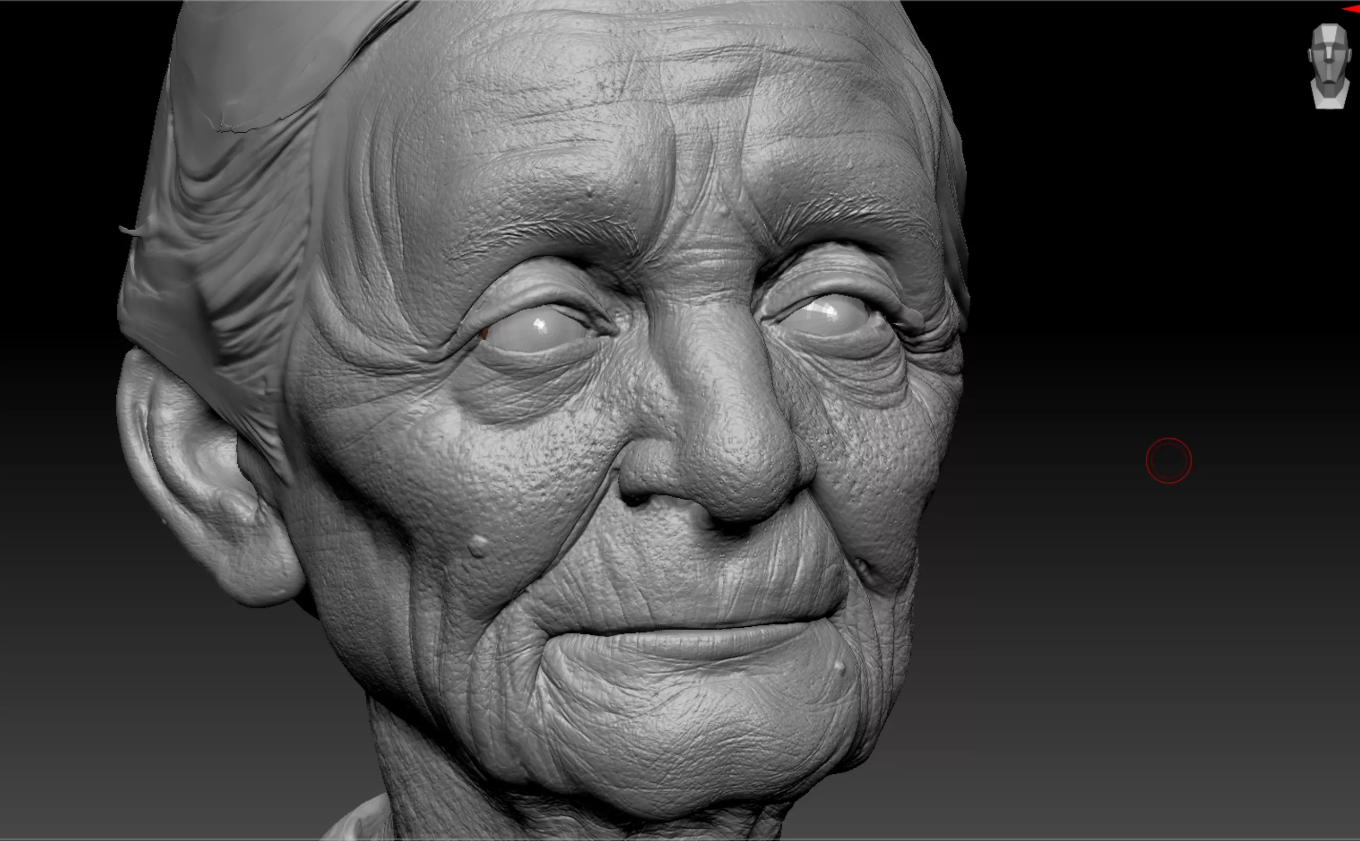 3d Old Lady Head High-poly model 3D model