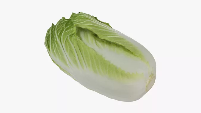 Chinese Cabbage