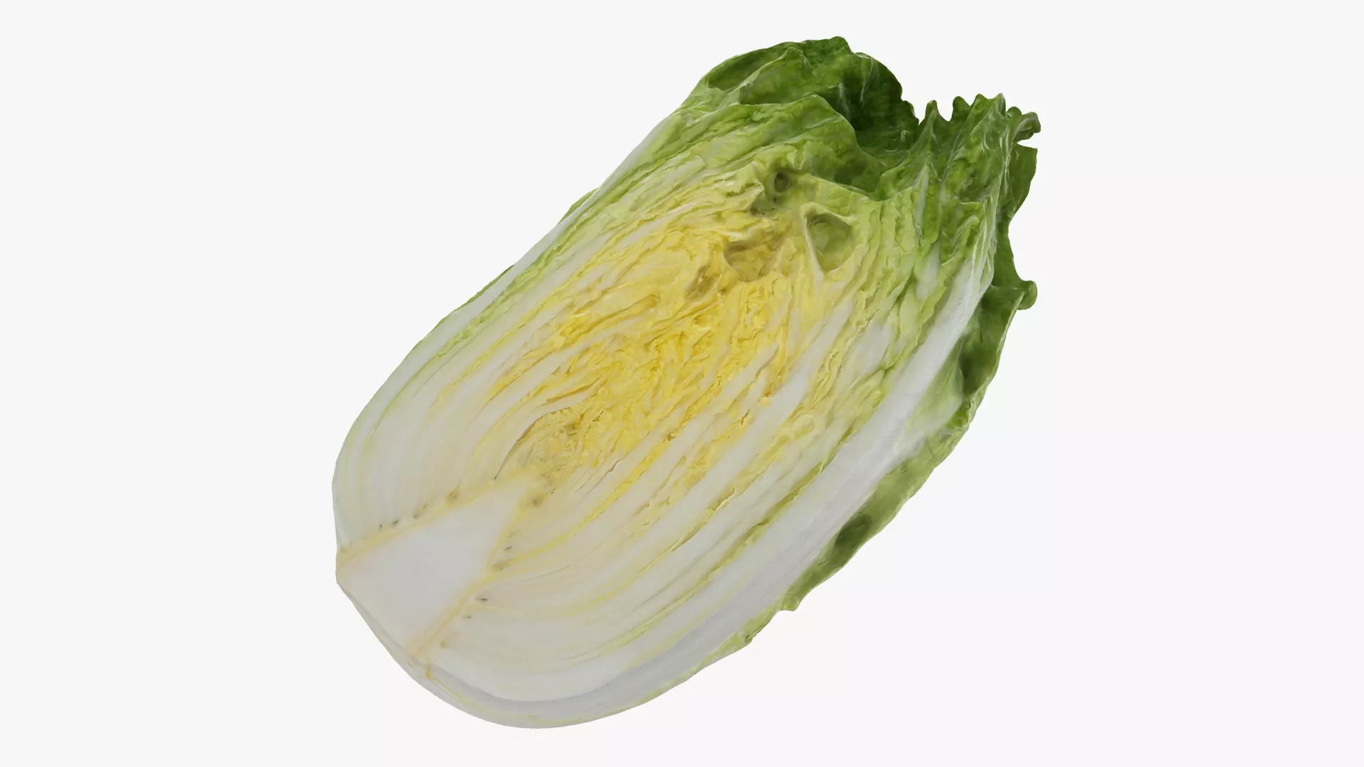 Chinese Cabbage Half Low-poly 3D model