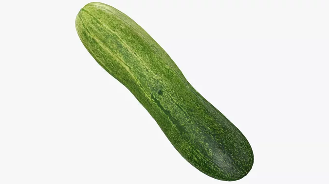 Cucumber 01