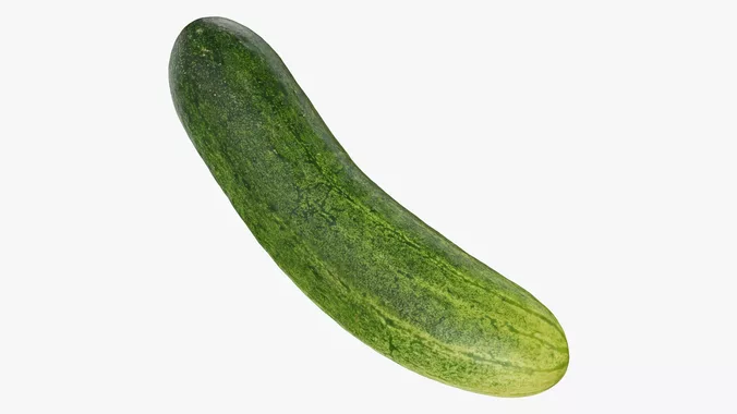 Cucumber 02