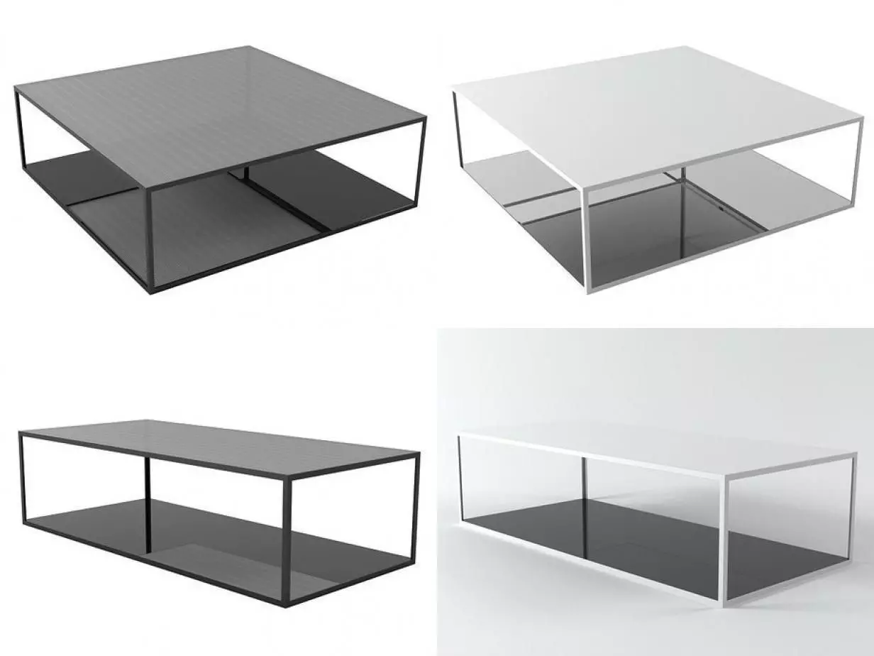 Double Skin 3D model_0