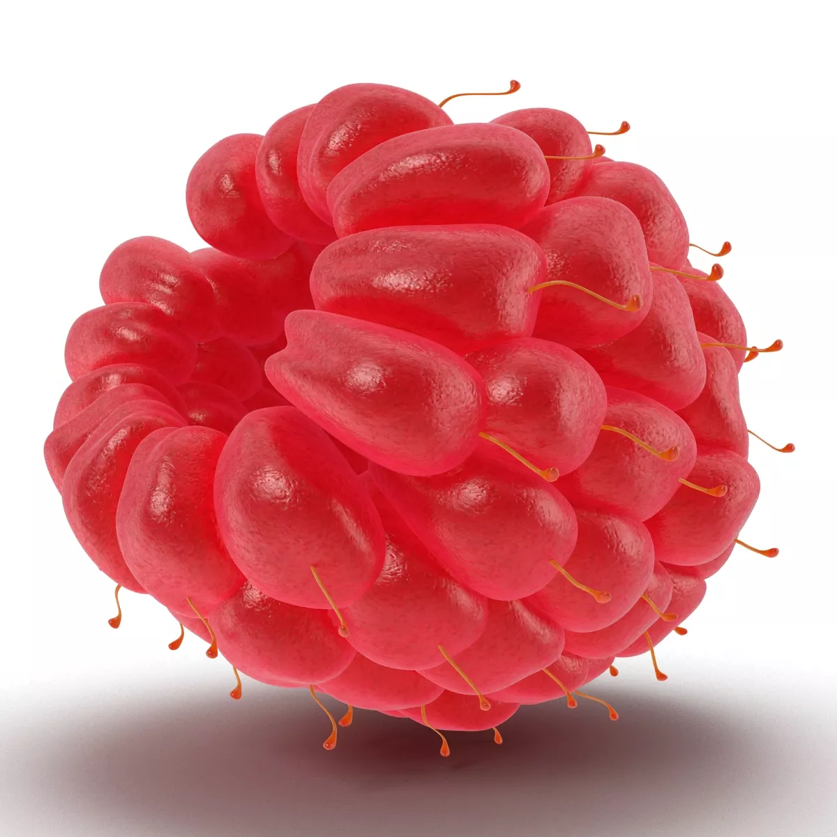Raspberry 4 3D model