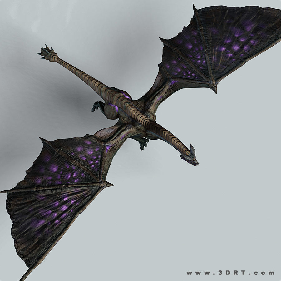 Battle Dragon armored mount  Low-poly 3D model_12