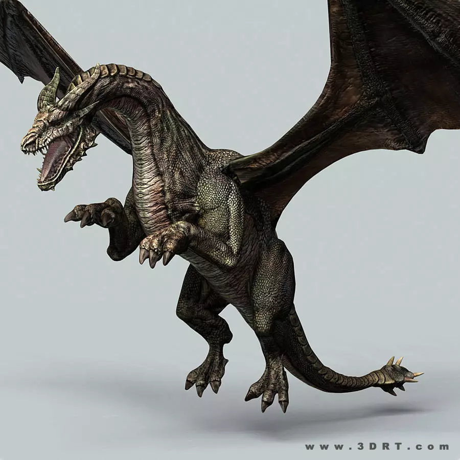 Battle Dragon armored mount  Low-poly 3D model_0