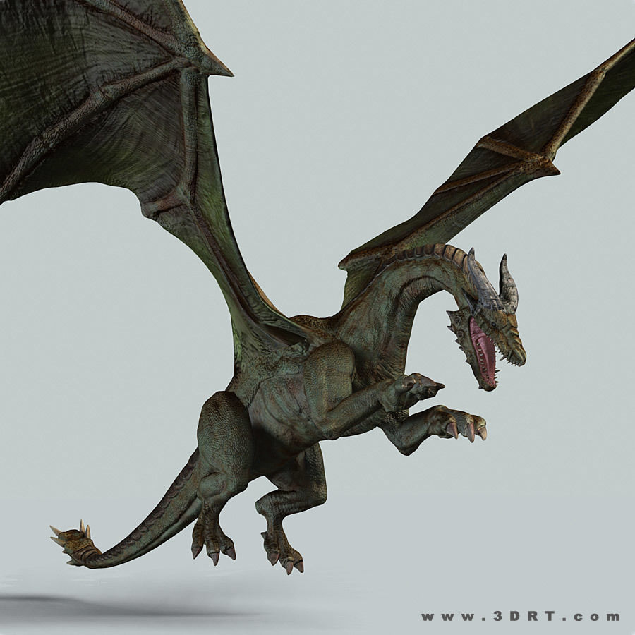 Battle Dragon armored mount  Low-poly 3D model_22
