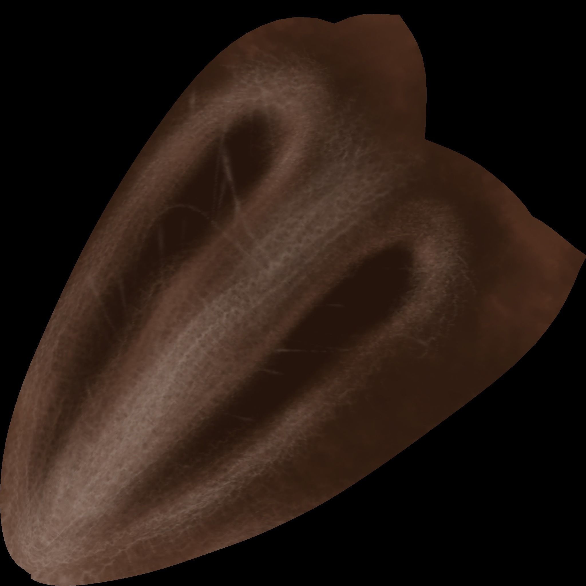 Spinosaurus dinosaur 3D model_15