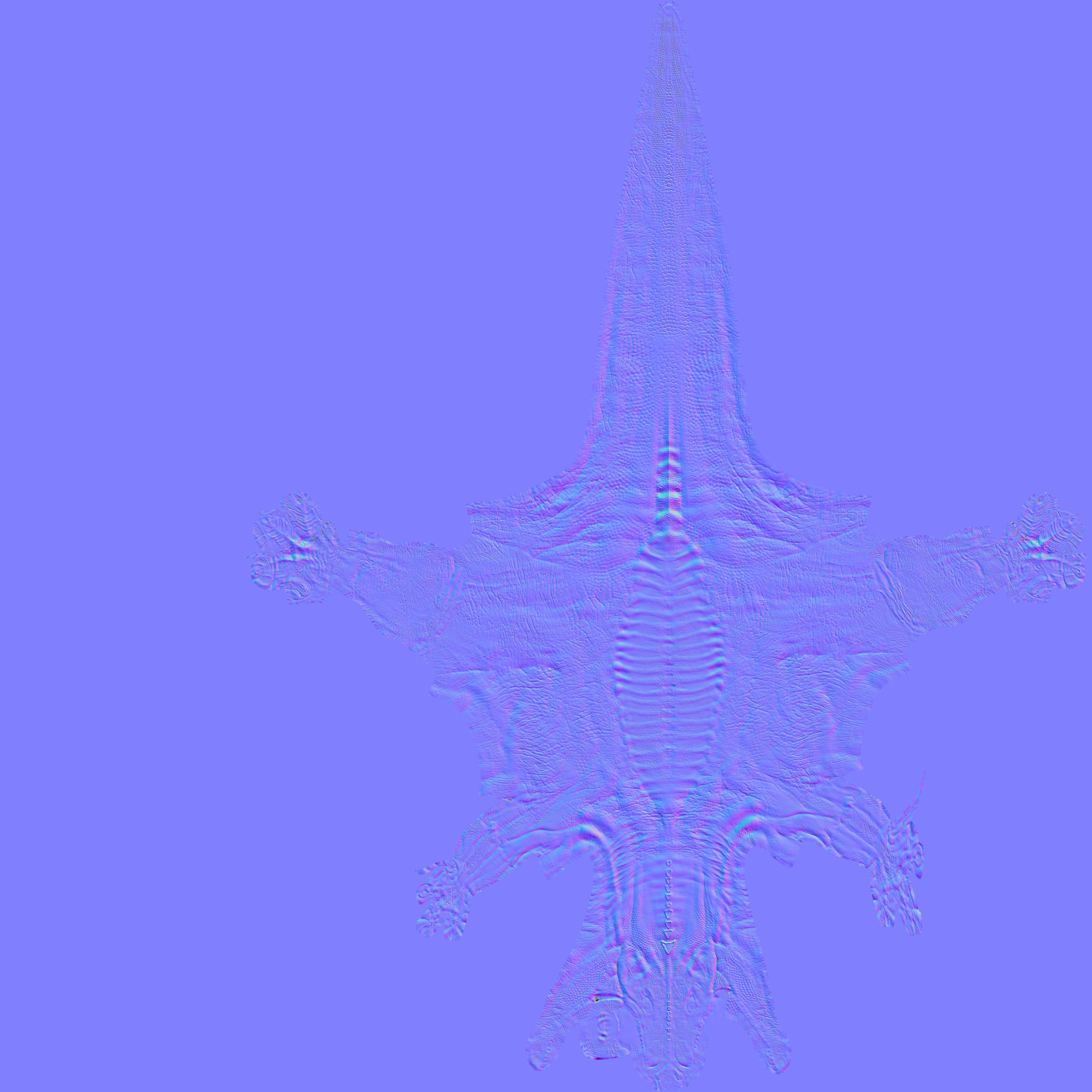 Spinosaurus dinosaur 3D model_23