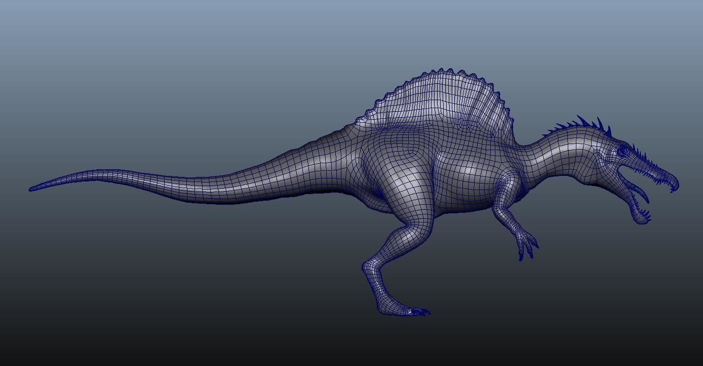 Spinosaurus dinosaur 3D model_8