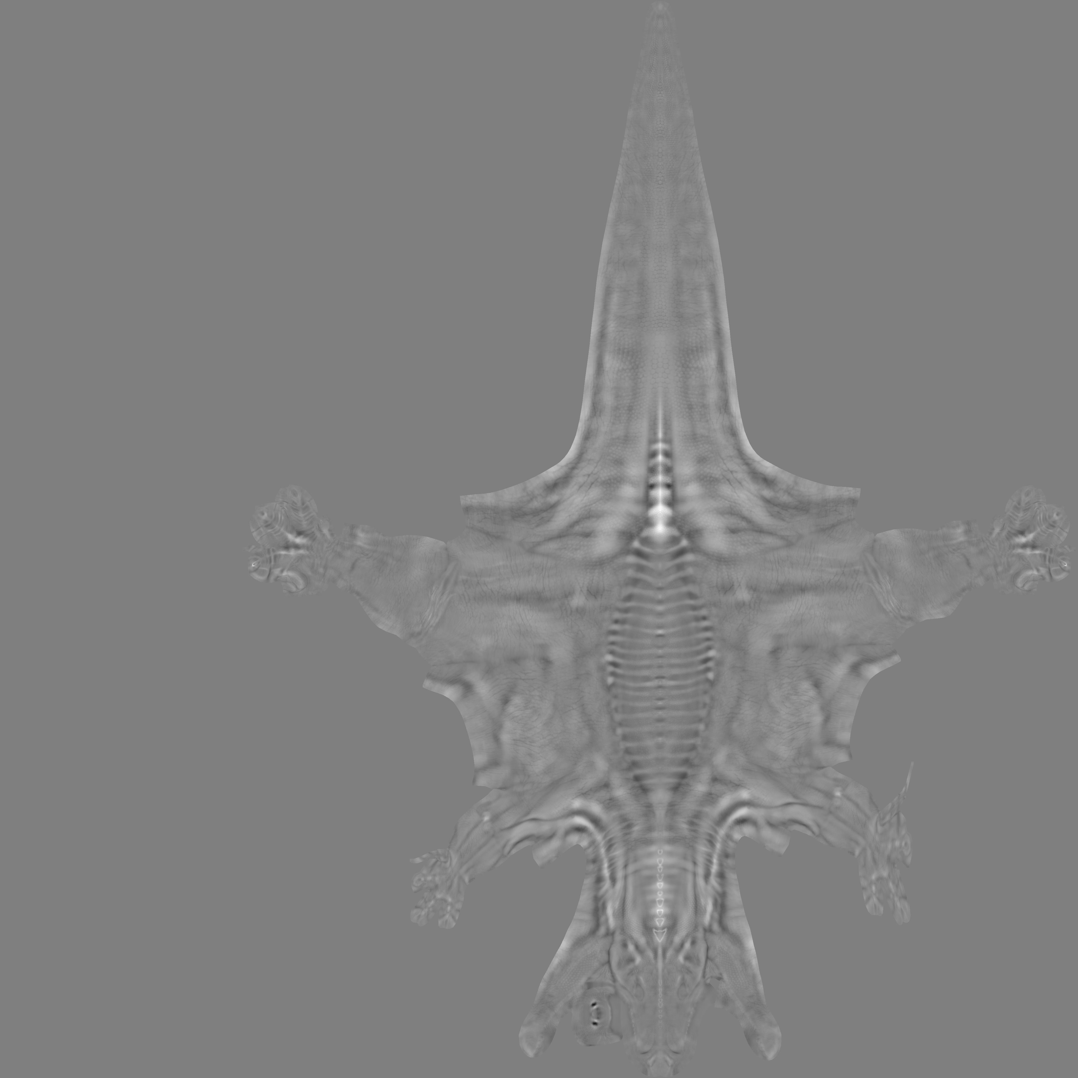 Spinosaurus dinosaur 3D model_17