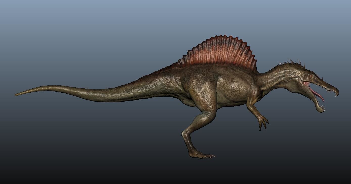 Spinosaurus dinosaur 3D model_1
