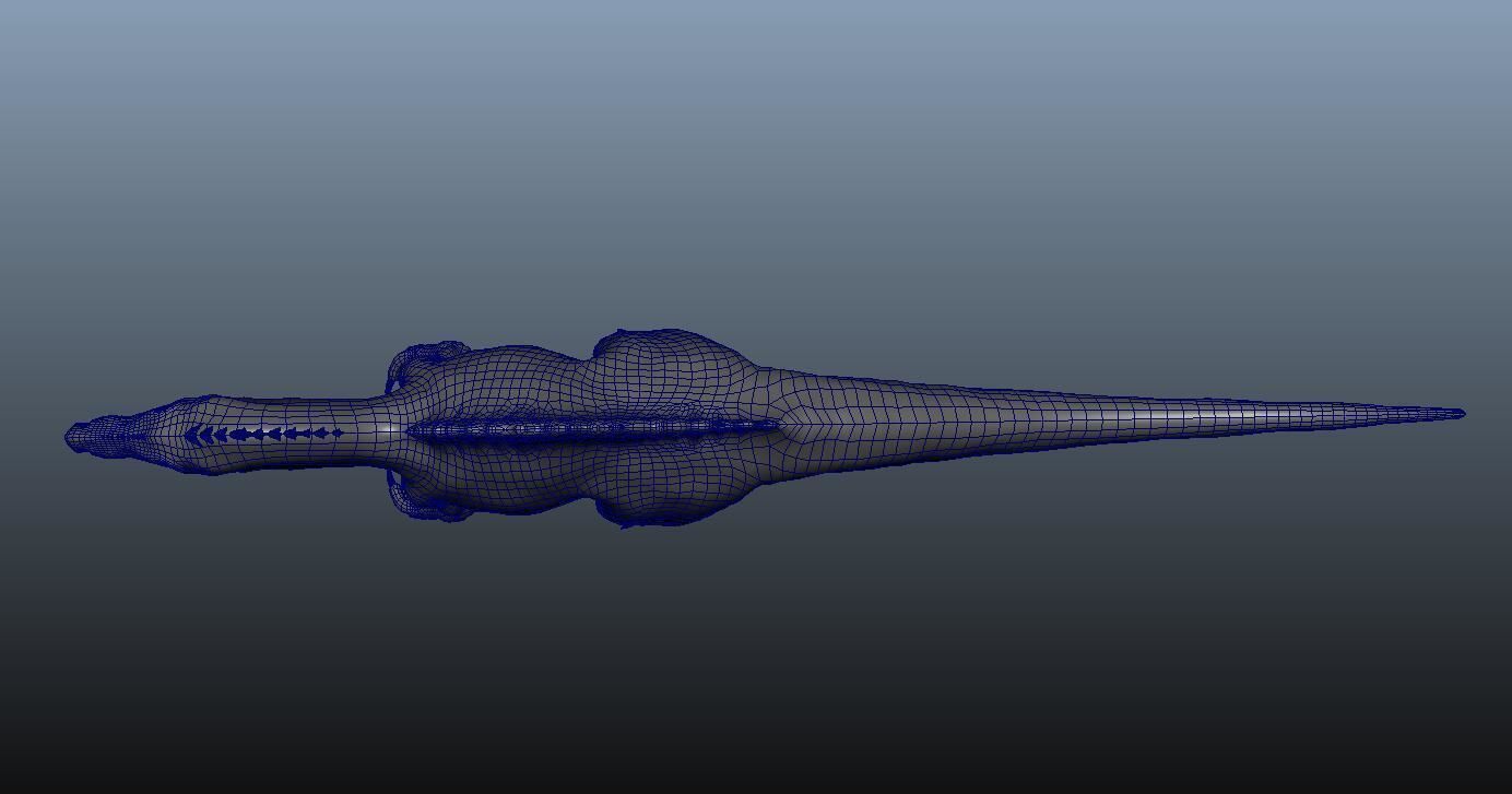 Spinosaurus dinosaur 3D model_5