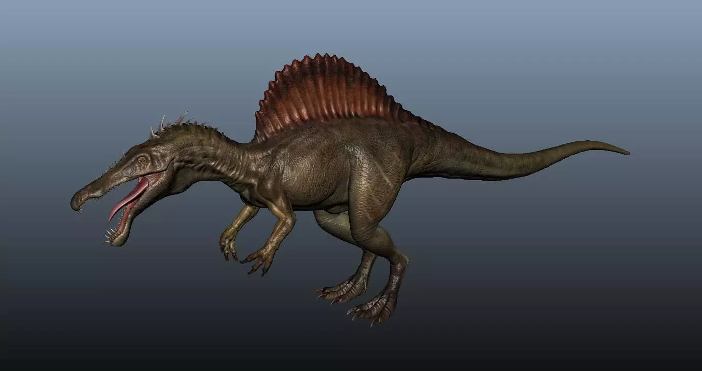 Spinosaurus dinosaur 3D model_0