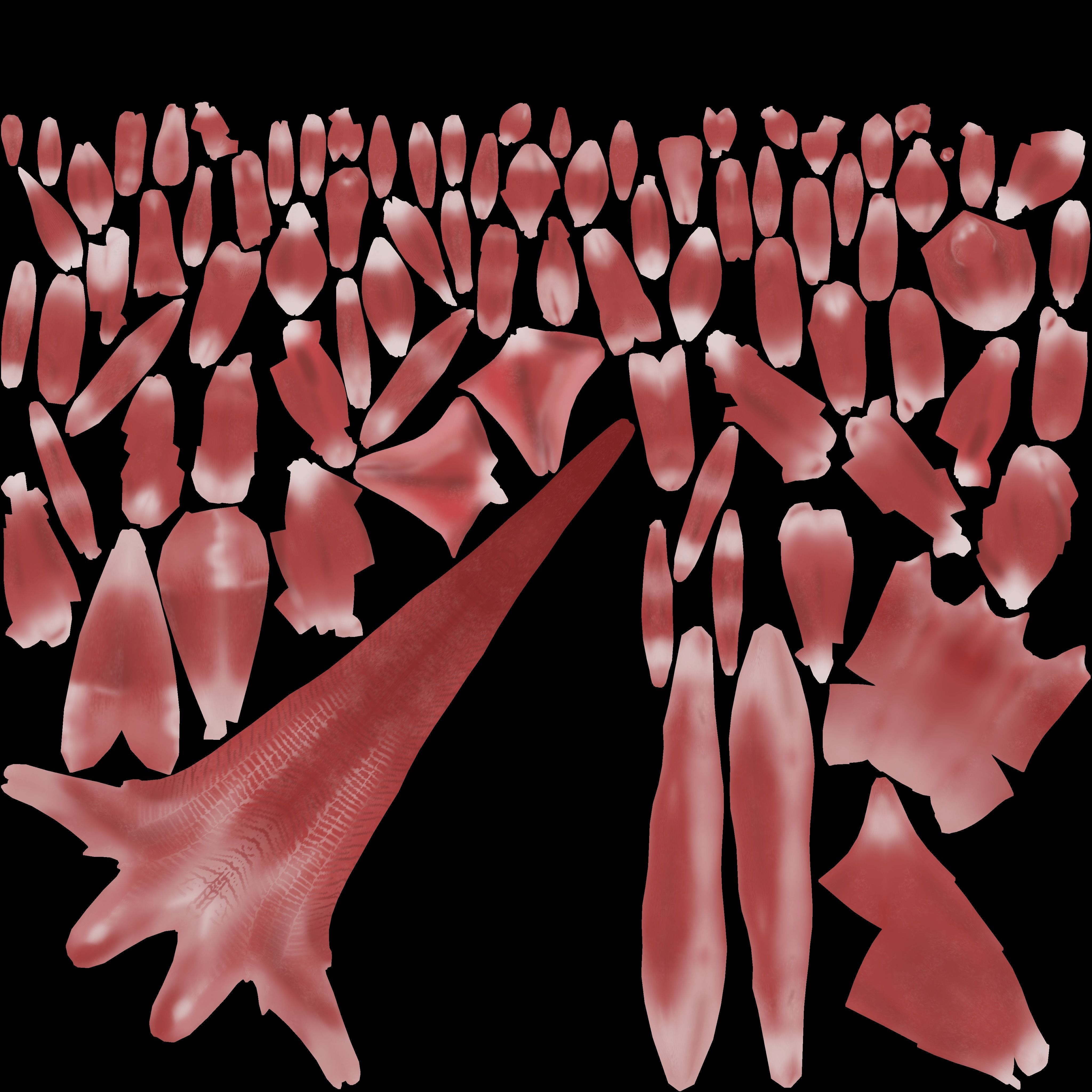 Spinosaurus dinosaur 3D model_14