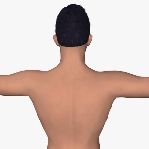 Sexy Young Boy  A12 Low-poly 3D model_12