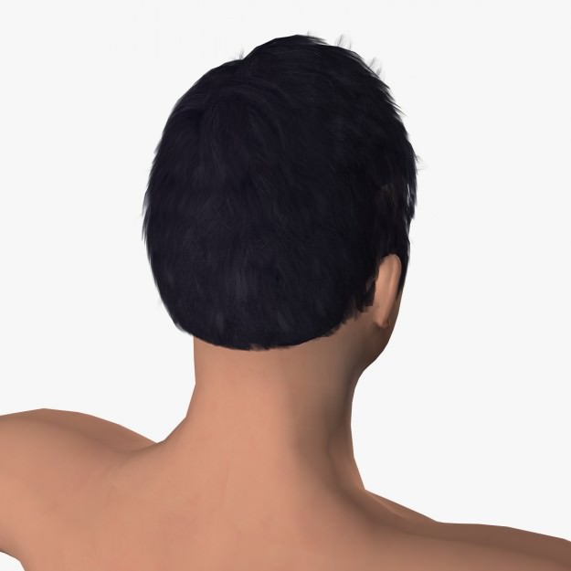 Sexy Young Boy  A12 Low-poly 3D model_14