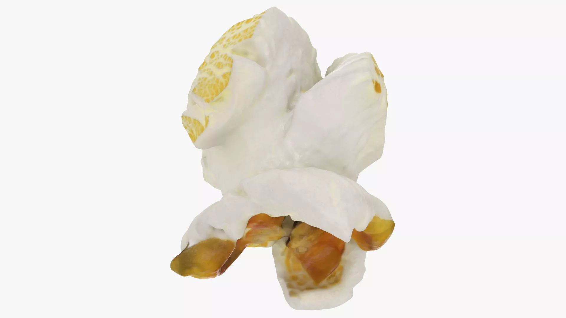 Popcorn 03 Low-poly 3D model